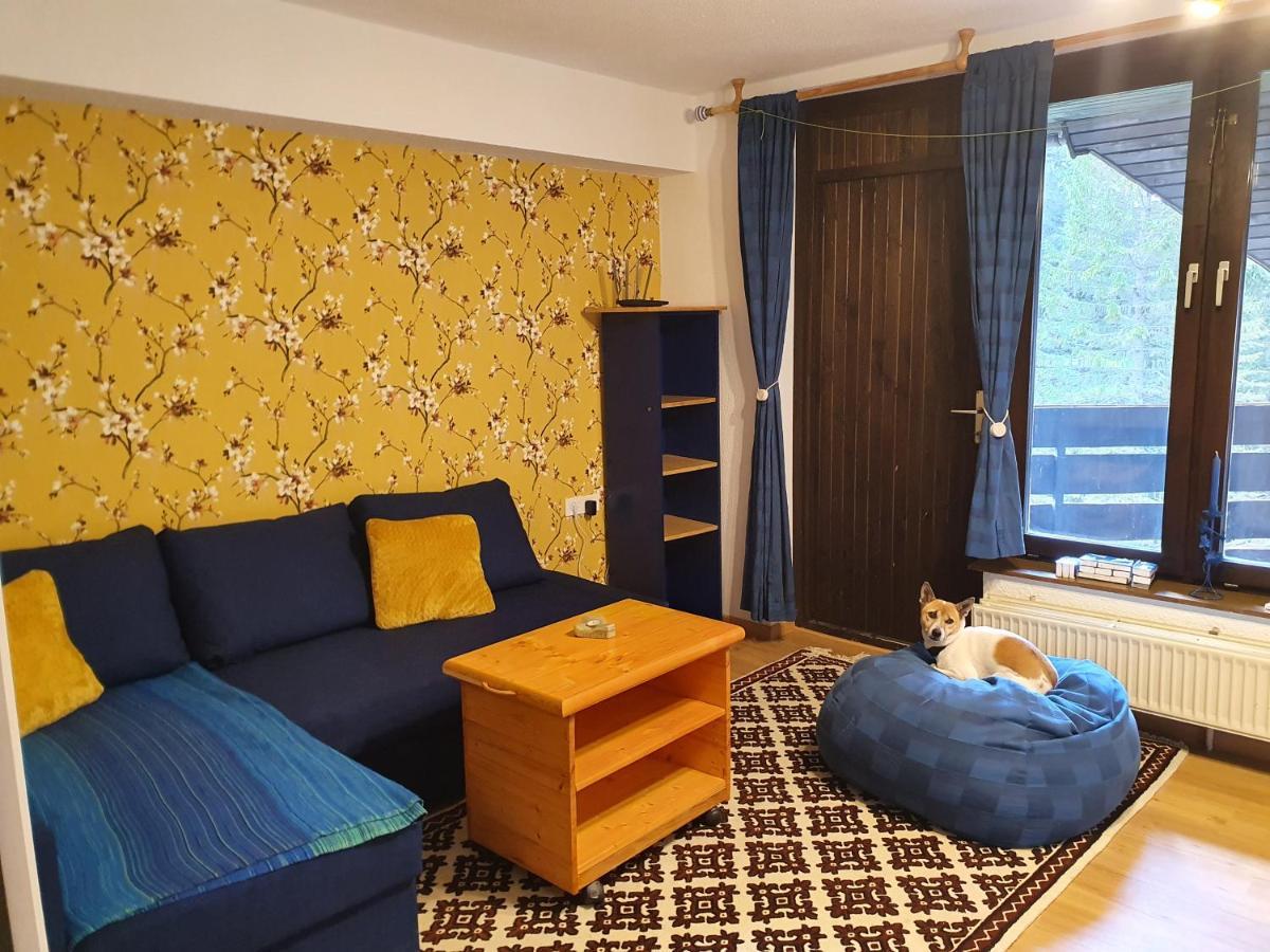 M & M Apartment Krvavec Cerklje na Gorenjskem Exterior photo